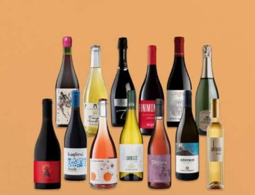 Integrazione Prestashop – Cassa in Cloud e carta dei vini dinamica per Millesuoli